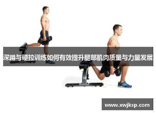 深蹲与硬拉训练如何有效提升腿部肌肉质量与力量发展